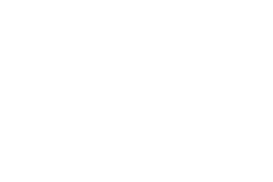 MasterGrid logo white