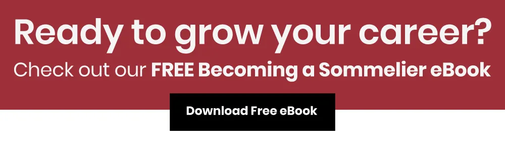 how to become a sommelier ebook