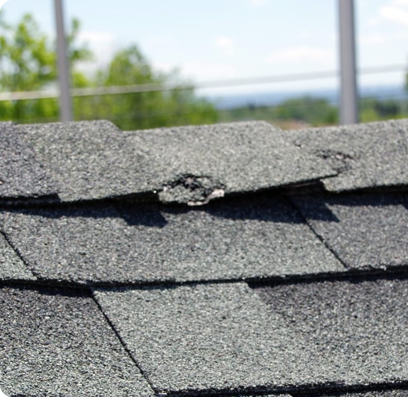 Roof Repair Roofsquad
