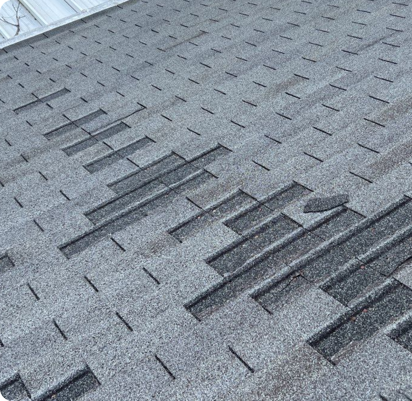 Roof Repair Roofsquad