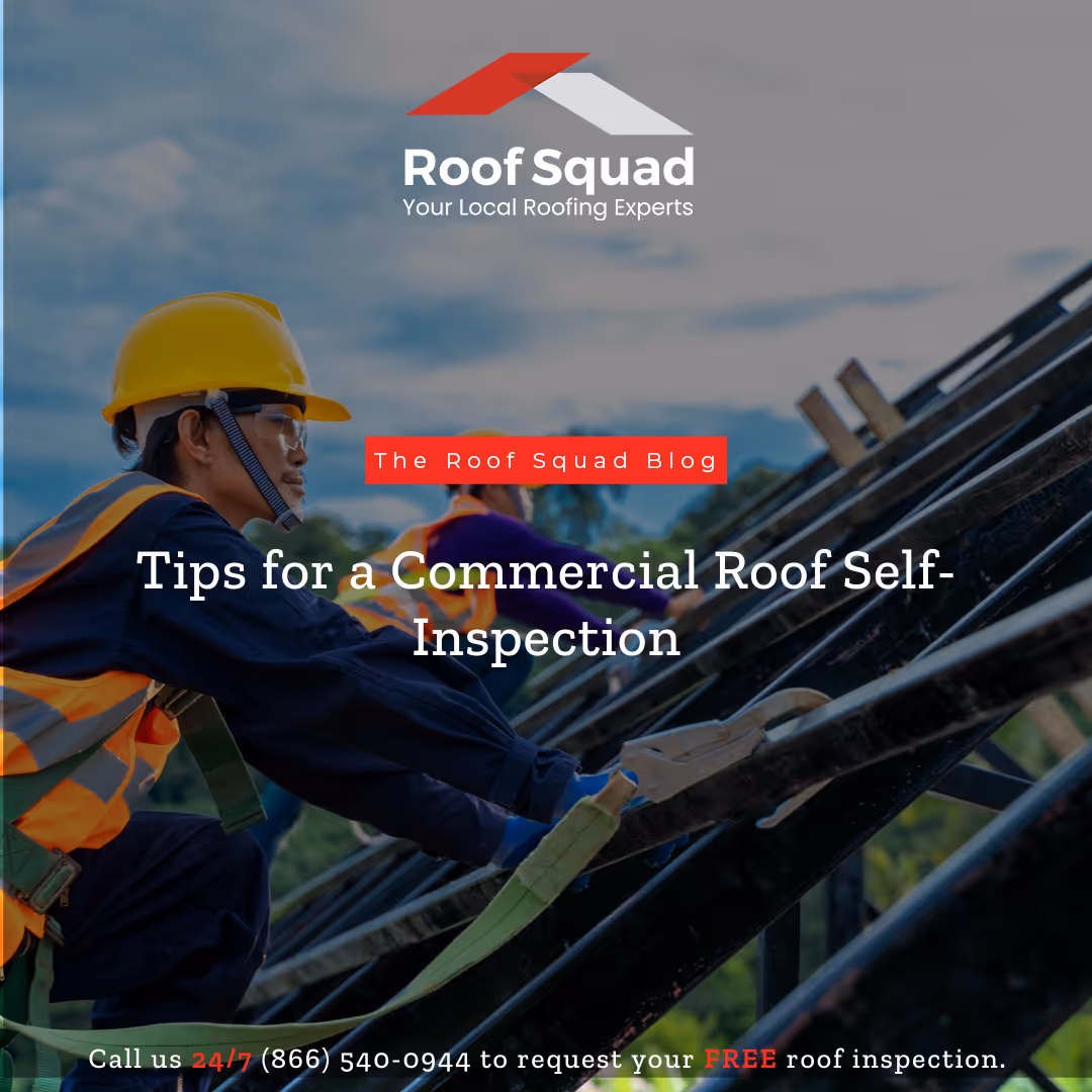 Commercial Roof Inspection