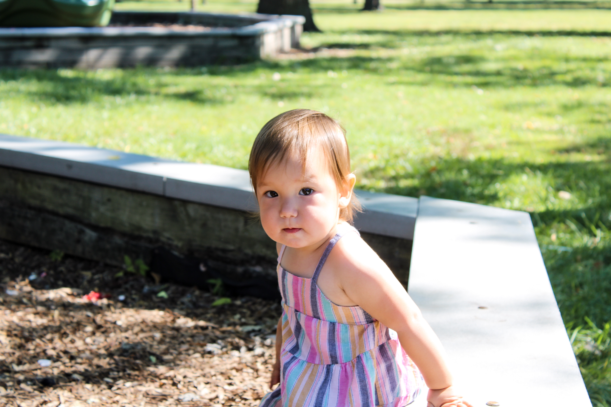 "Discover stunning photography from an up & coming passionate photographer. 

Book your session today & capture your memories forever. Serving Chicagoland area & beyond."
