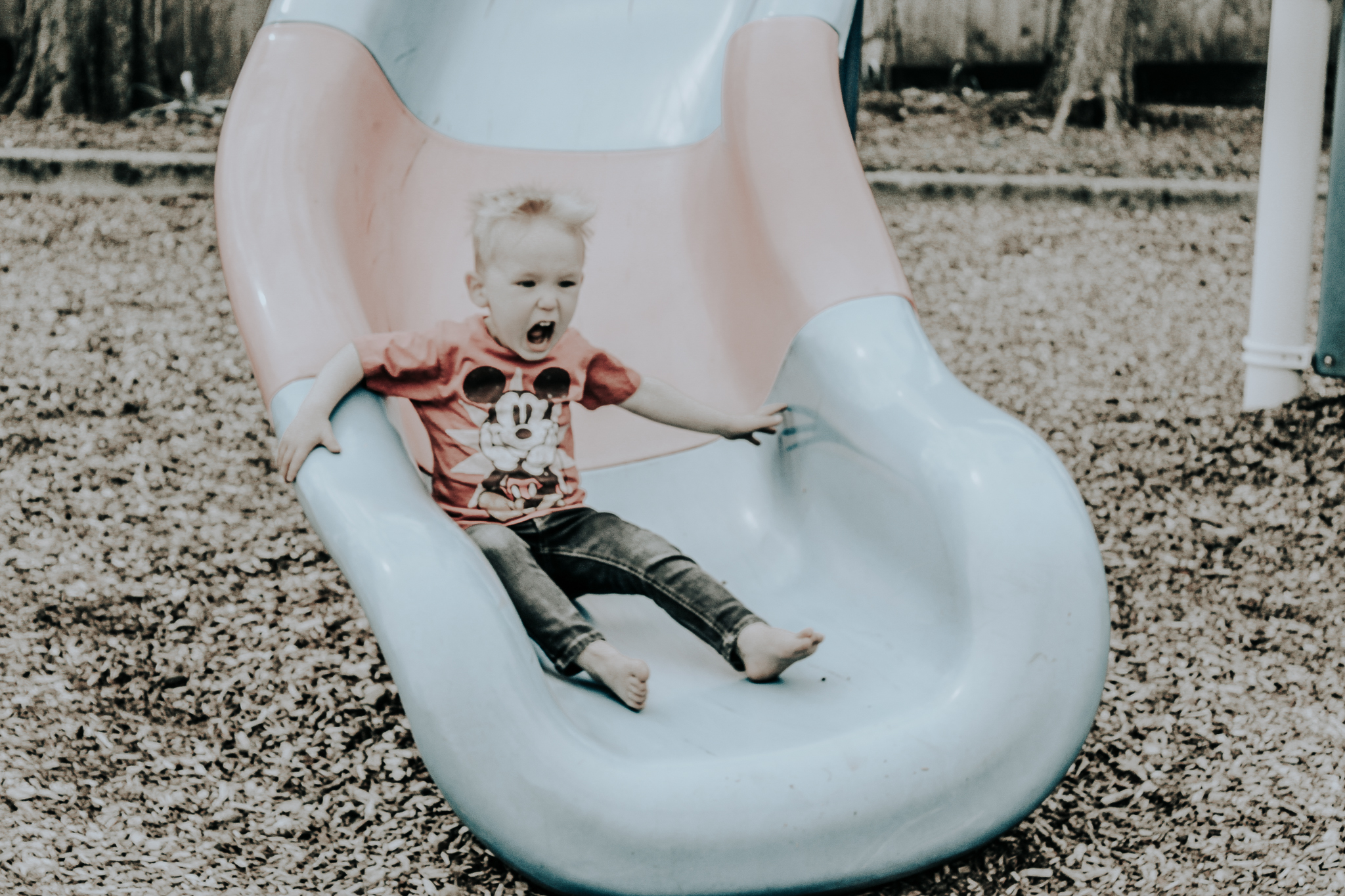 "Discover stunning photography from an up & coming passionate photographer. 

Book your session today & capture your memories forever. Serving Chicagoland area & beyond."

