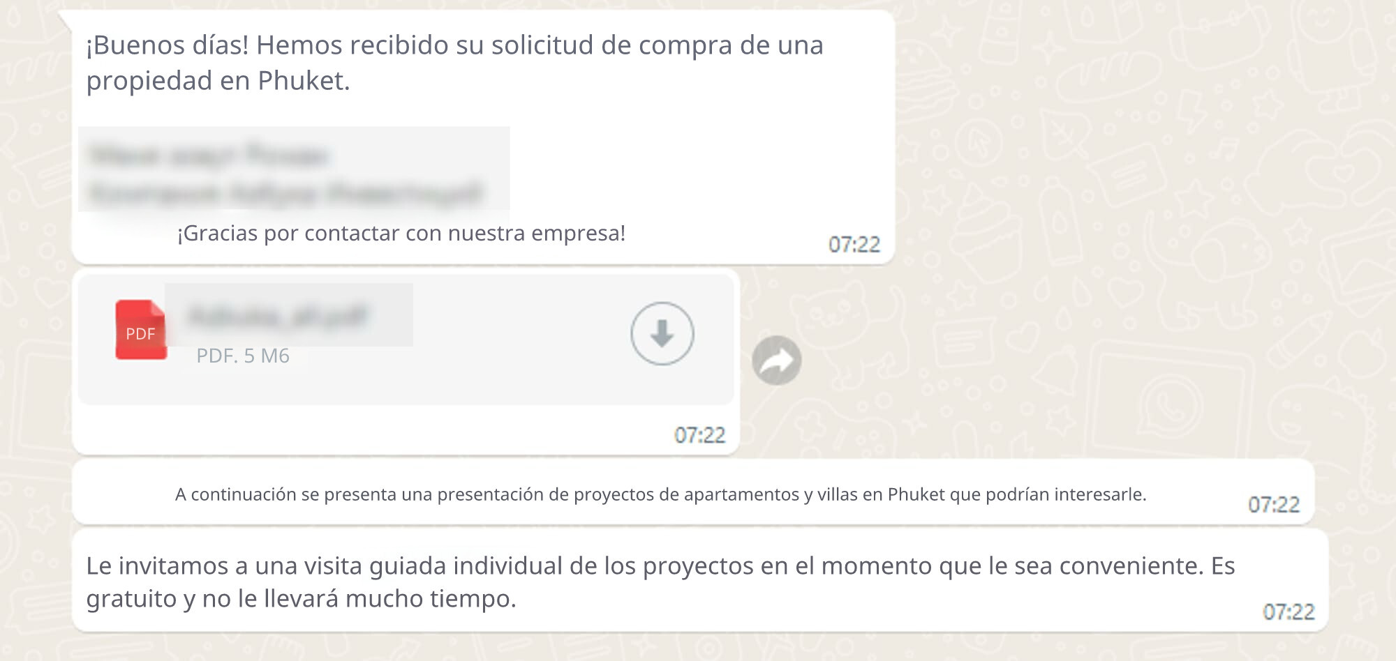 PDF in chat