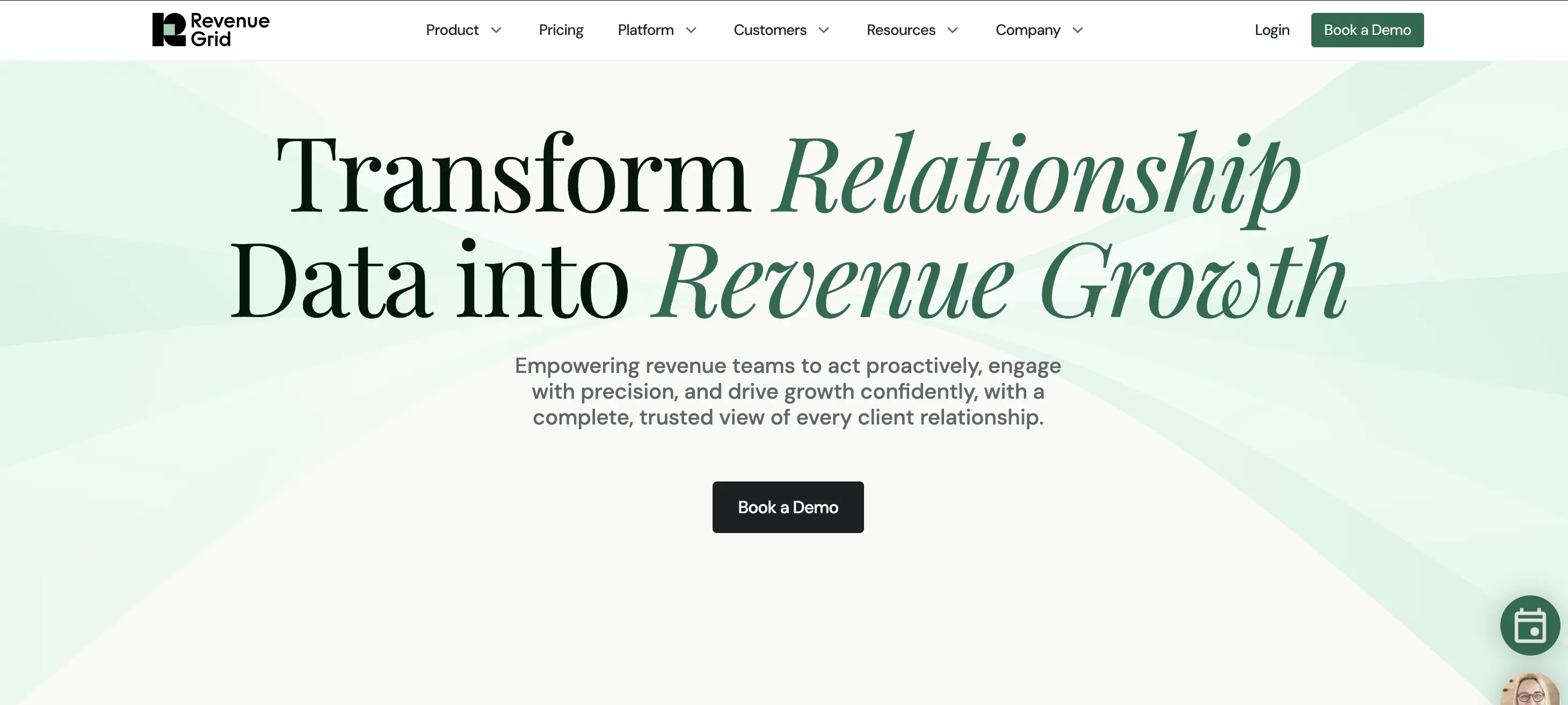 Revenue Grid revenue intelligence platform homepage screenshot