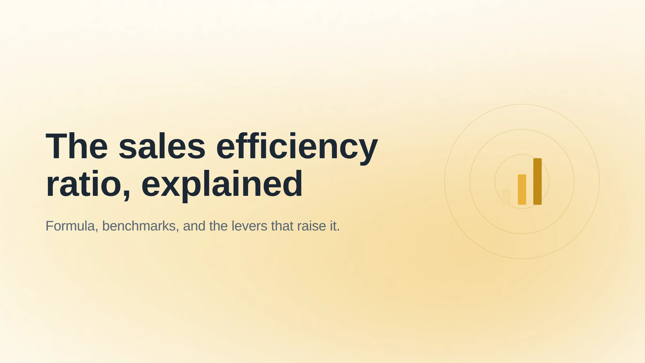 sales efficiency