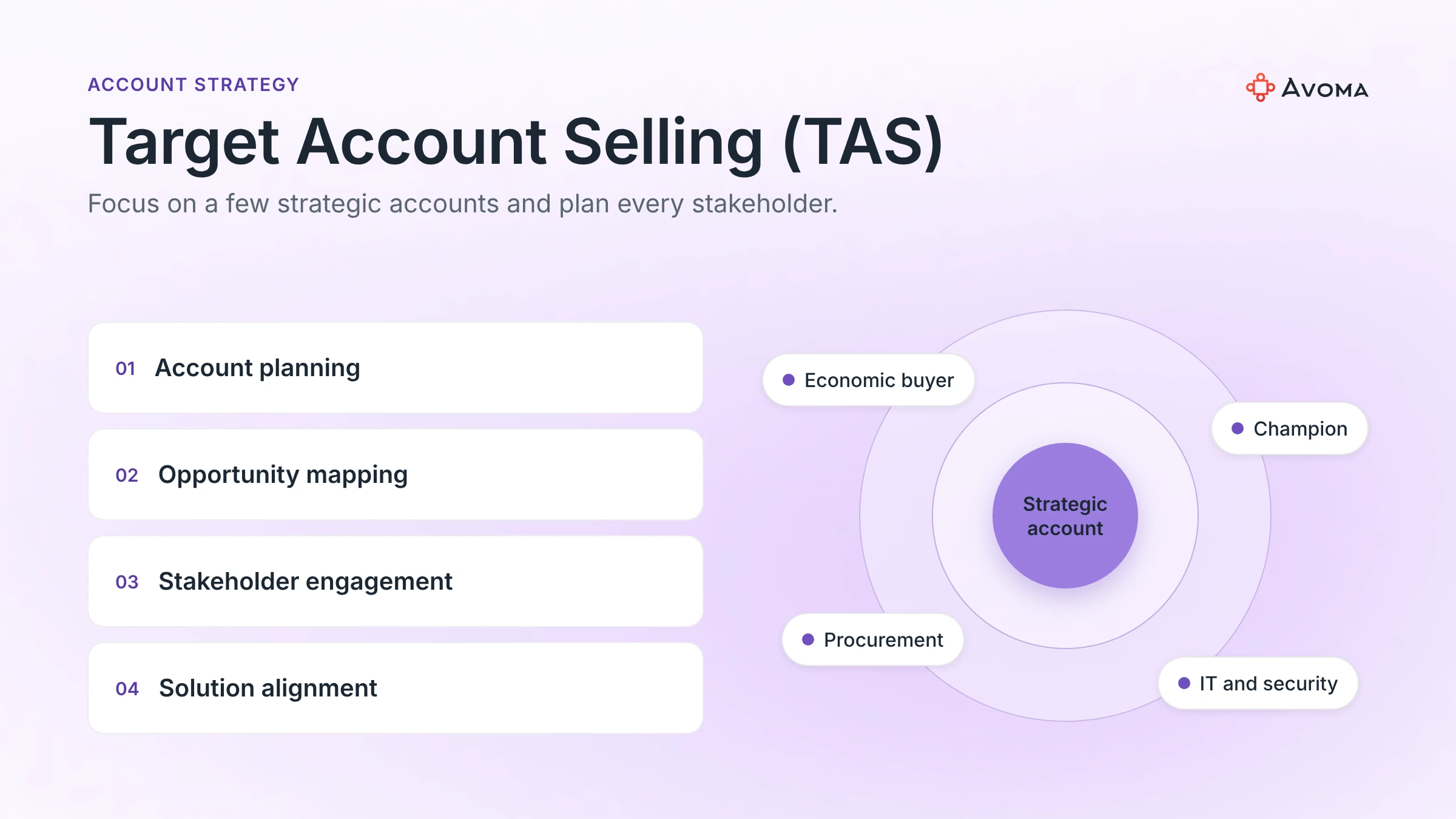 Target Account Selling sales methodology: account planning, opportunity mapping, stakeholder engagement and solution alignment around a strategic account
