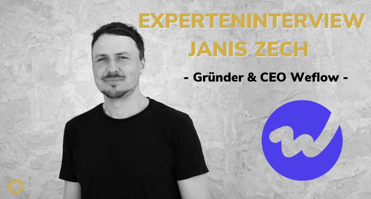Digital Sales Monitor Experteninterview 