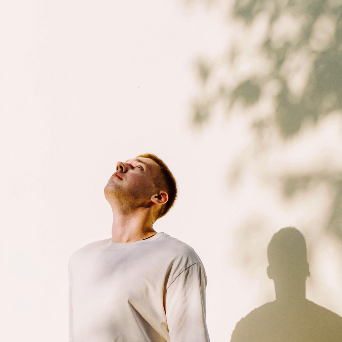 man looking up with shadow on wall