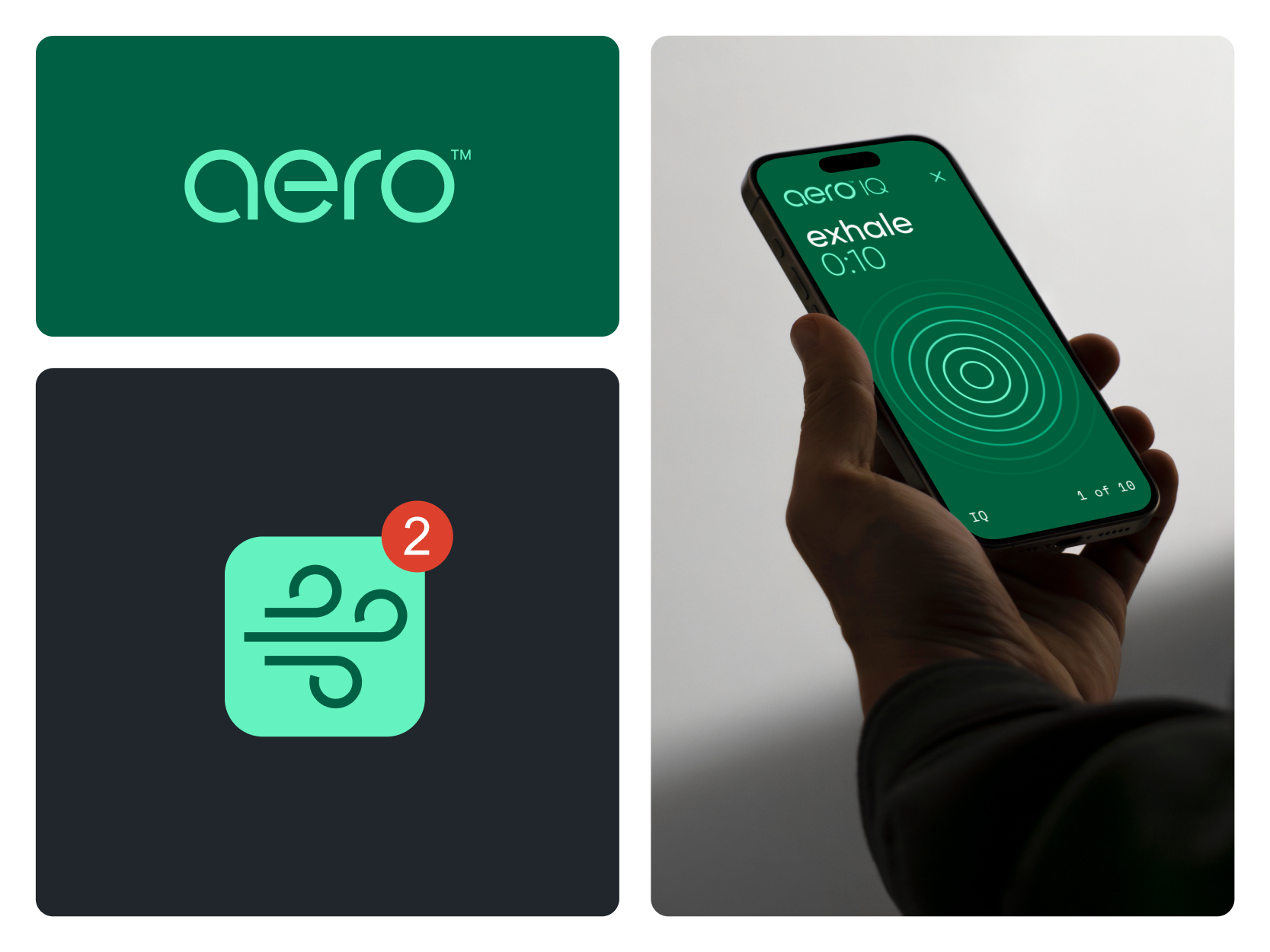 Aero brand identity bento grid showcase