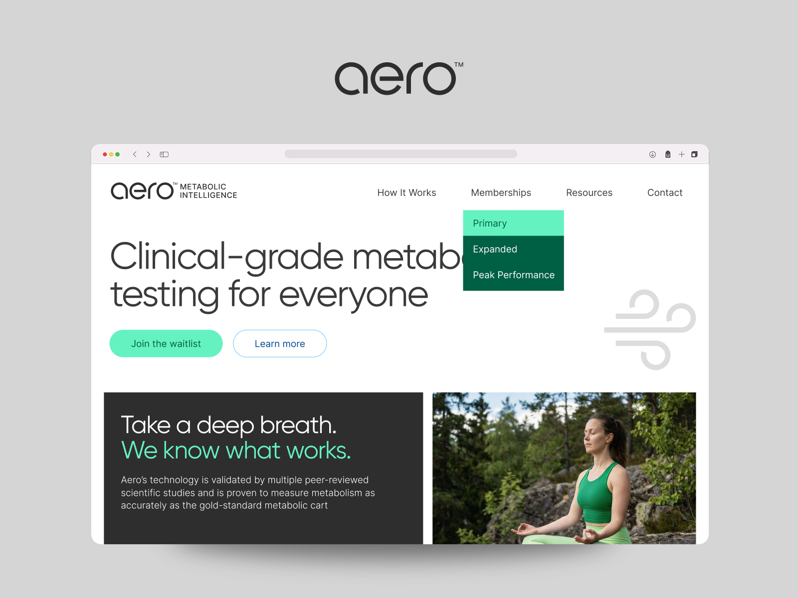 Aero brand logo design by Ebaq Design