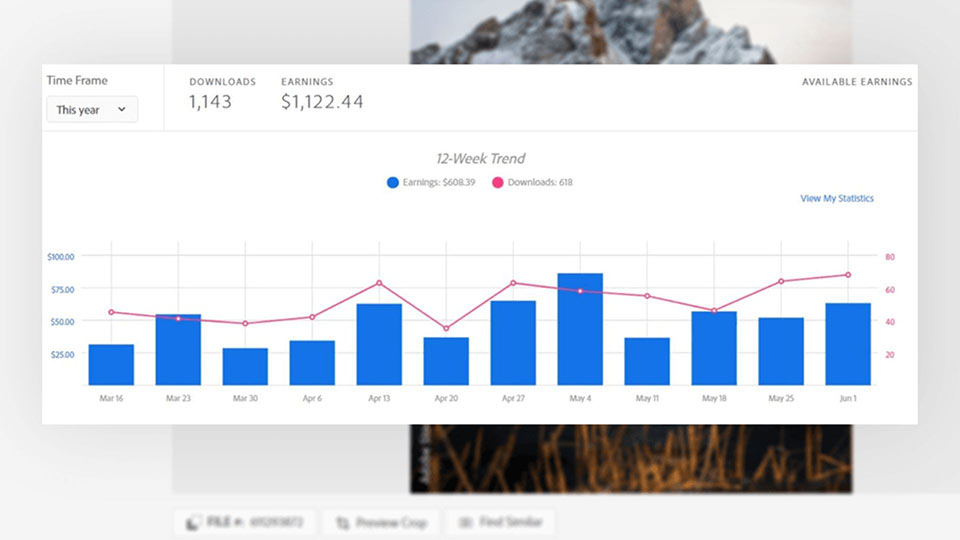 Sample Earnings as an Adobe Stock Contributor