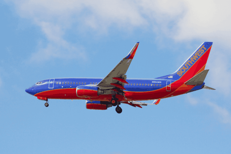 Southwest Airline is a low-cost carrier that is known for its friendly customer service and frequent flights.