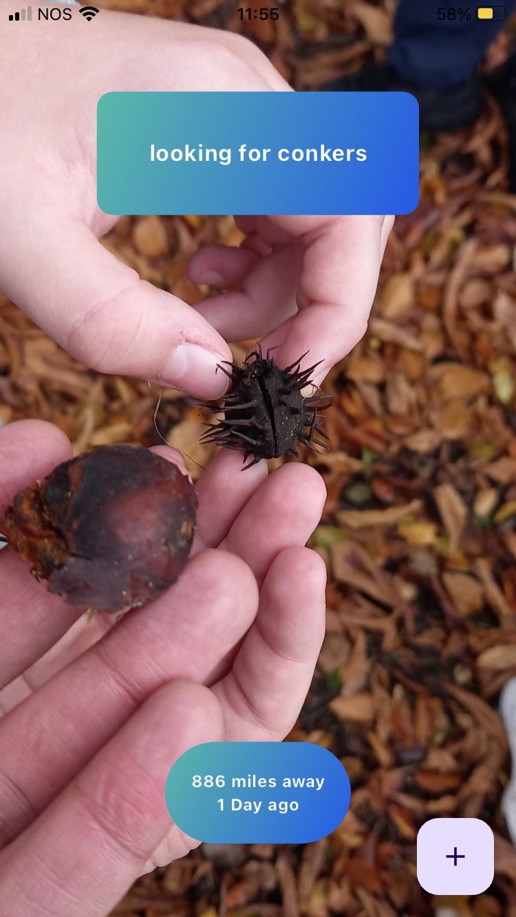 An image from the Places by EcoGPX® app on a mobile phone. There are two hands each holding seeds or nuts from trees. In the backgrounds is yellowy brown vegetation. There are two blue text holder rectangles. One says "looking for conkers" and the other says "886 miles away - 1 ay ago"