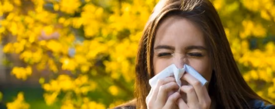 Home Remedies for Sinus Infections