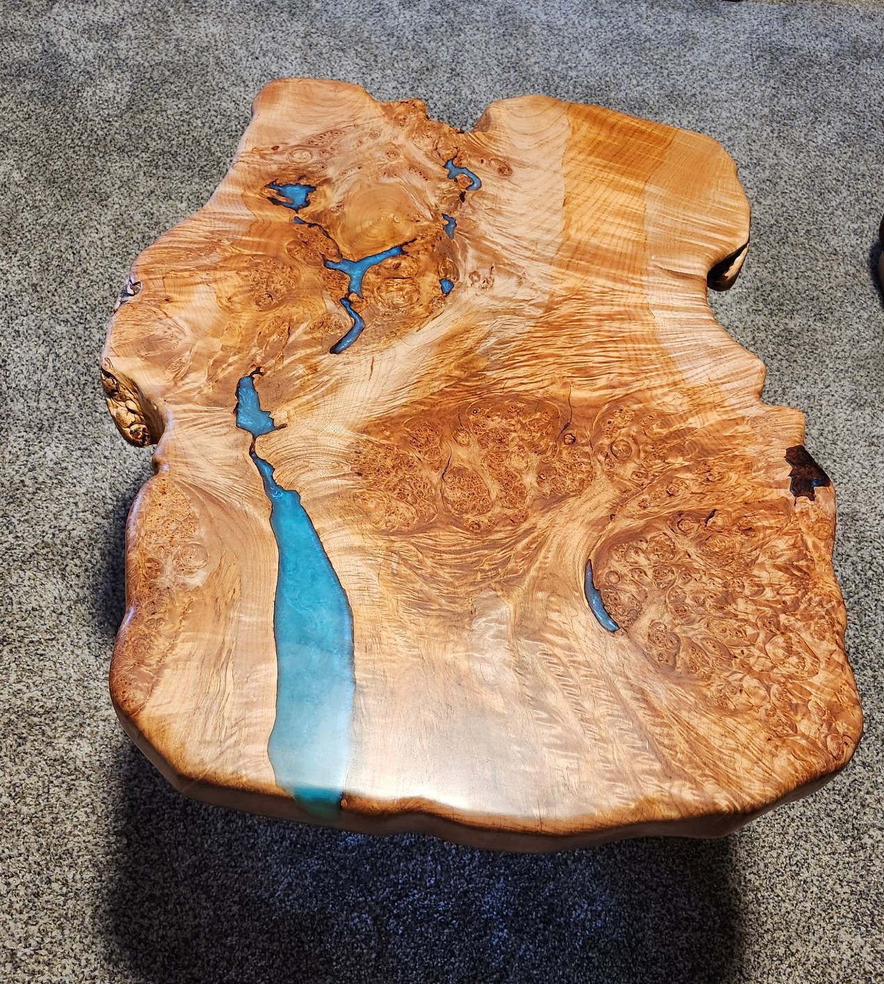 Maple Burl Slab Coffee Table with Maple Branch Leg in River Rock Base. Blue epoxy accent fill. Live edges, tongue oil finish. 2.75" Thick. 29" x 36" x 18" high.