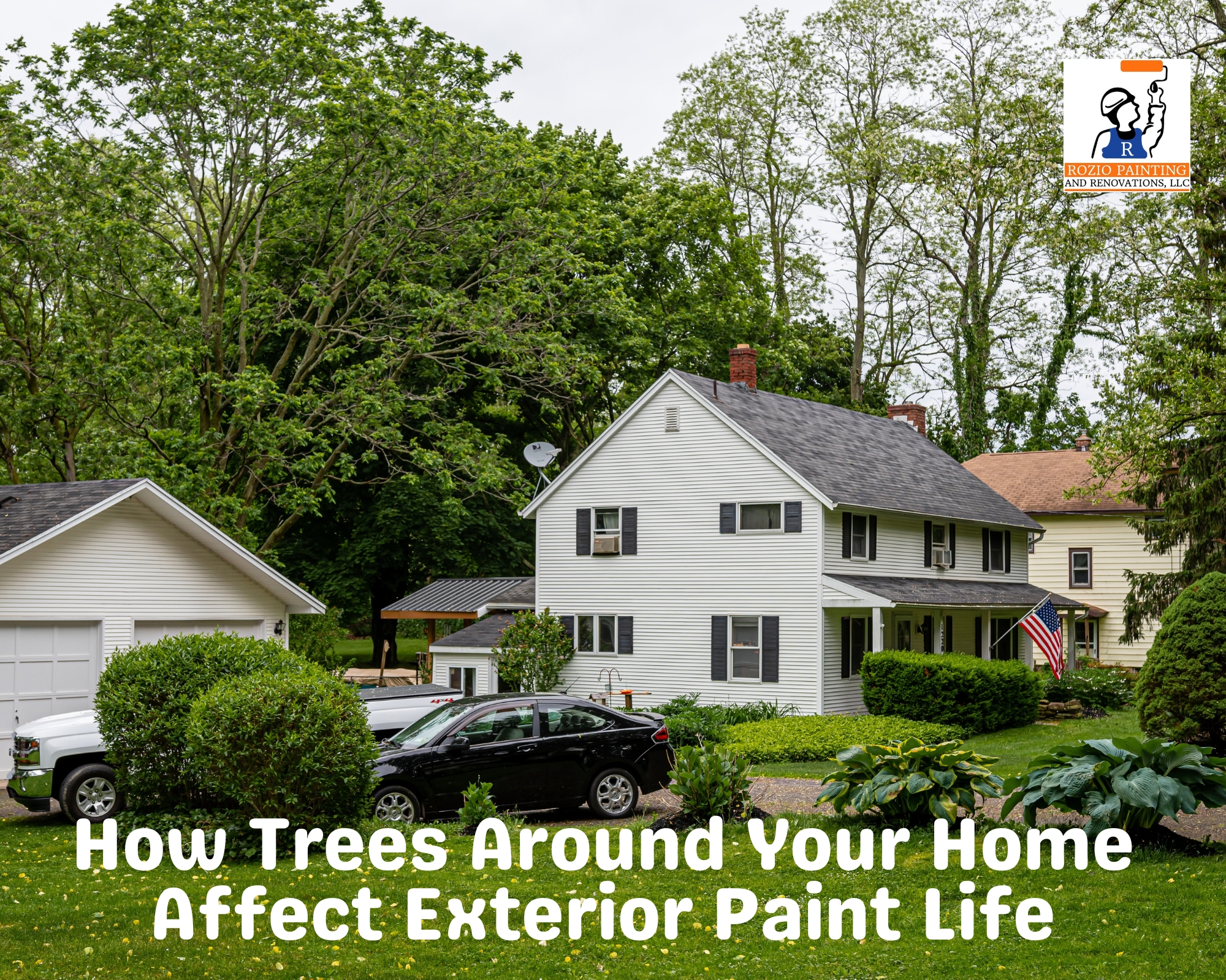How Trees Around Your Home Affect Exterior Paint Life