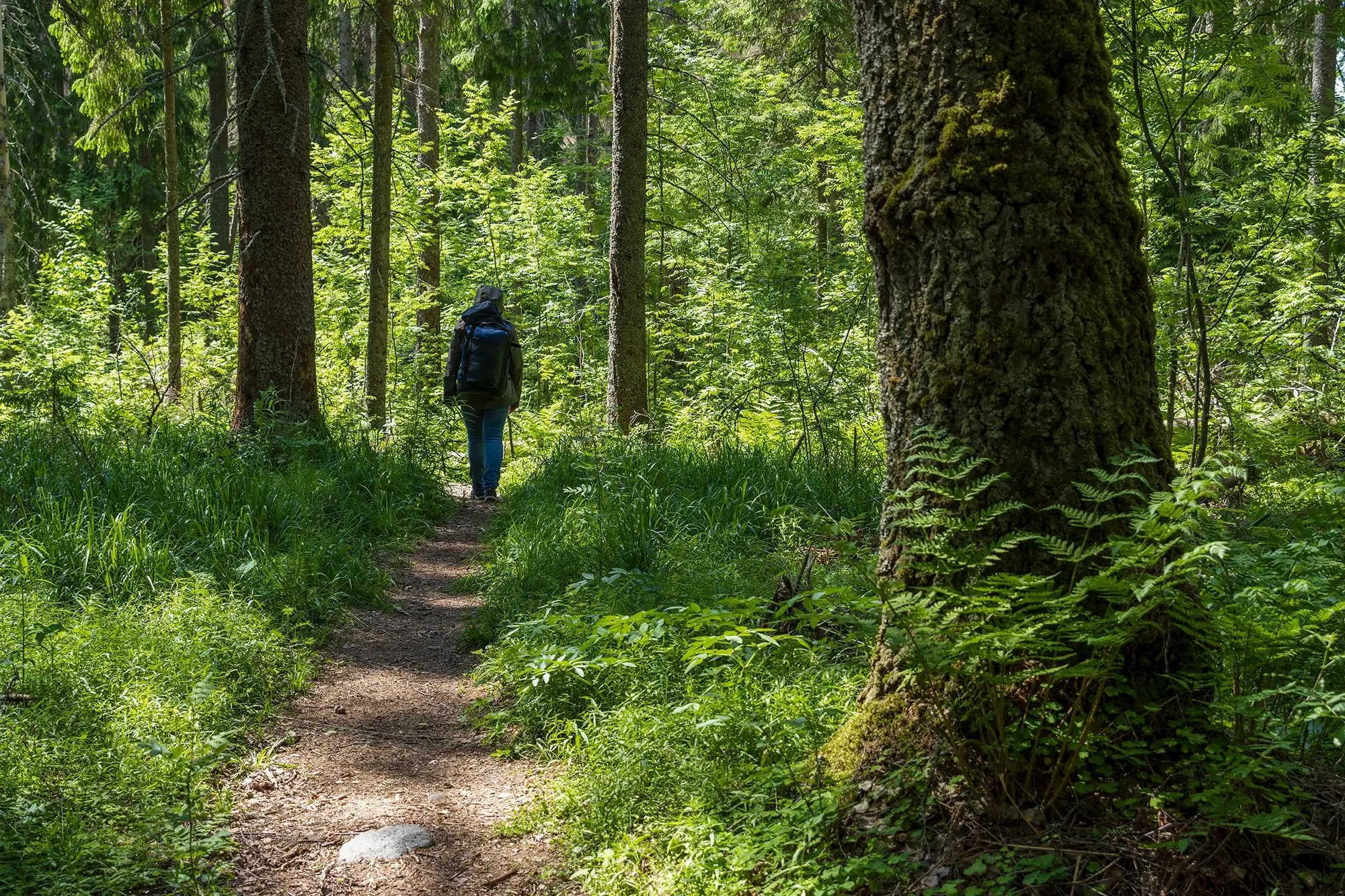 Our IOP combines evidence-based therapies with support for every facet of your life — physical, psychological and social. We focus on lasting change, not just symptom management.