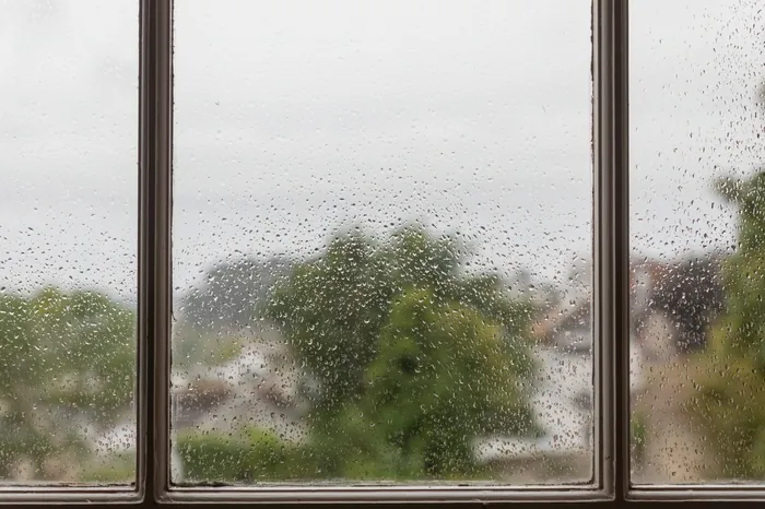 Rain beading on a window on a dreary day.