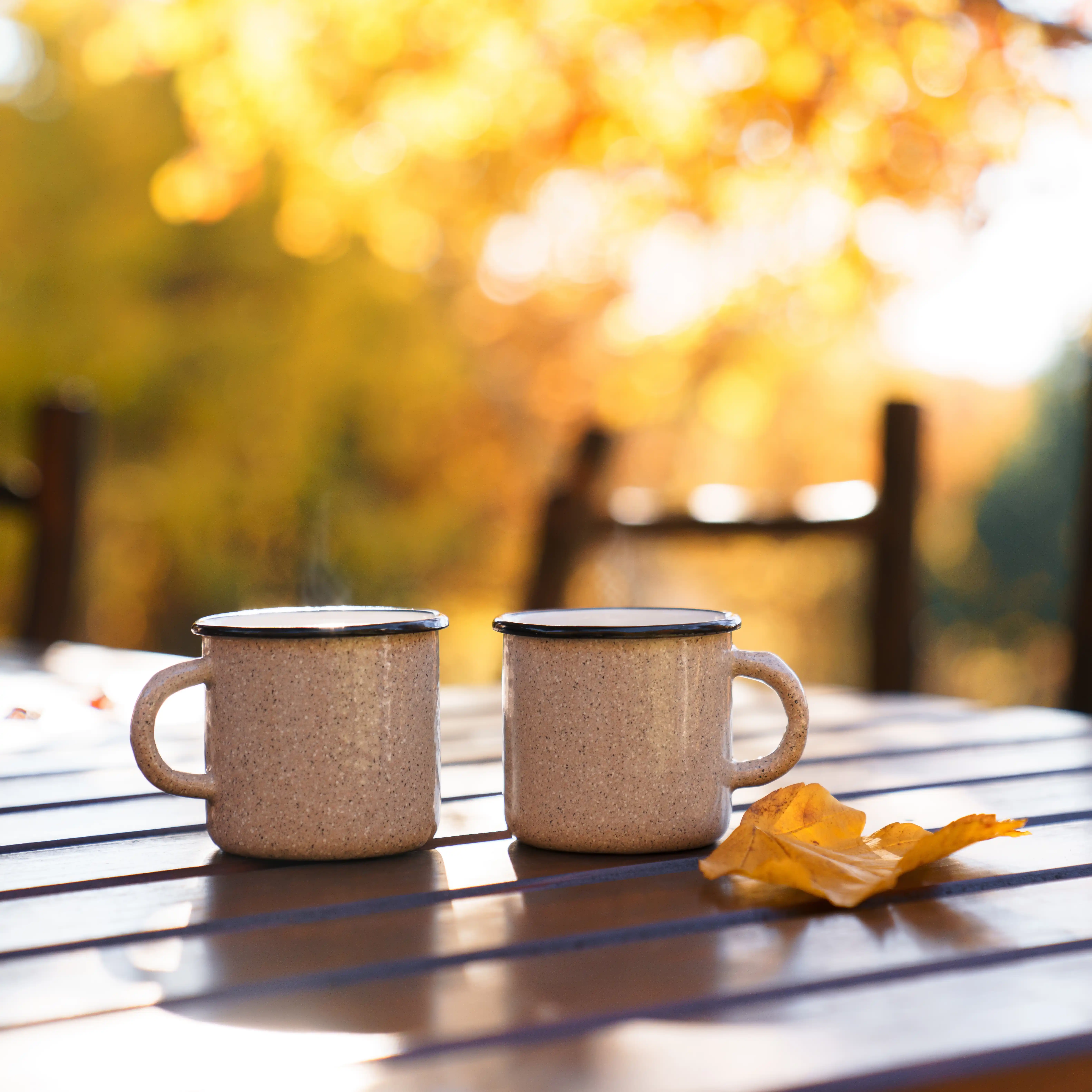 Two cups of tea on an outdoor bench at our LSD rehab centre in Melbourne