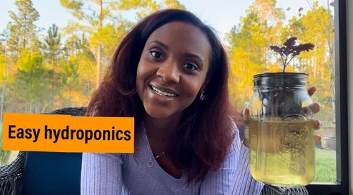 I made a couple of Kratky kits in a YouTube video