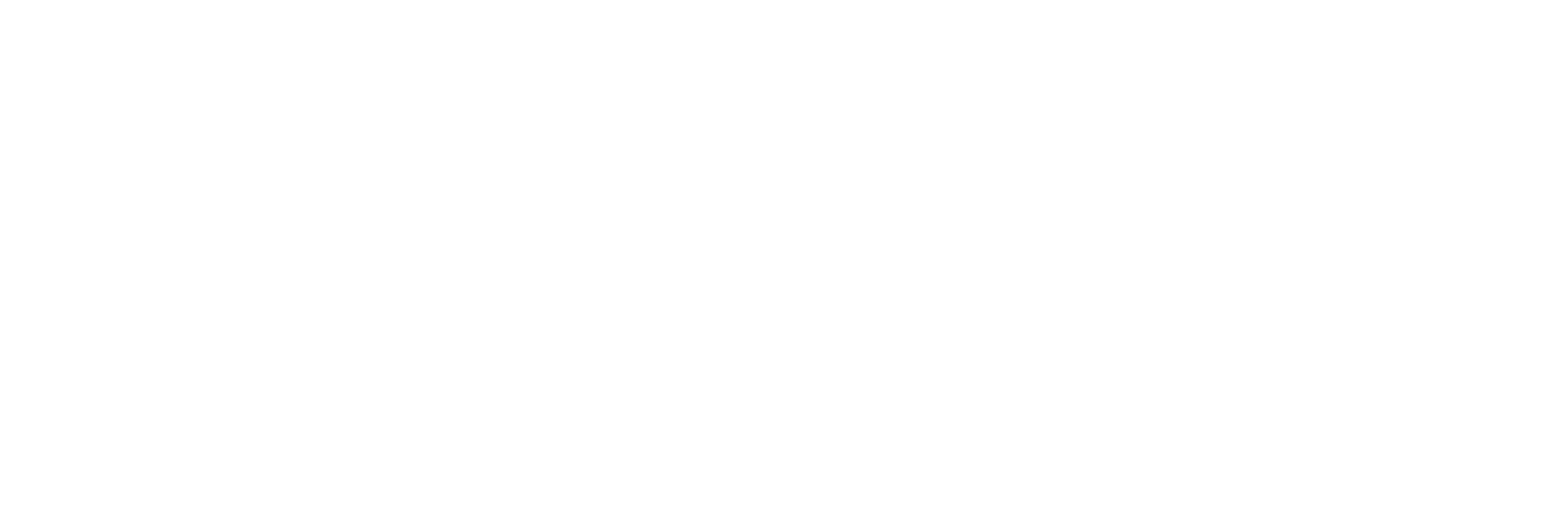 google white logo