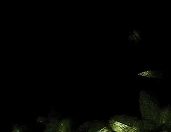 Ishaan Mishra Projects