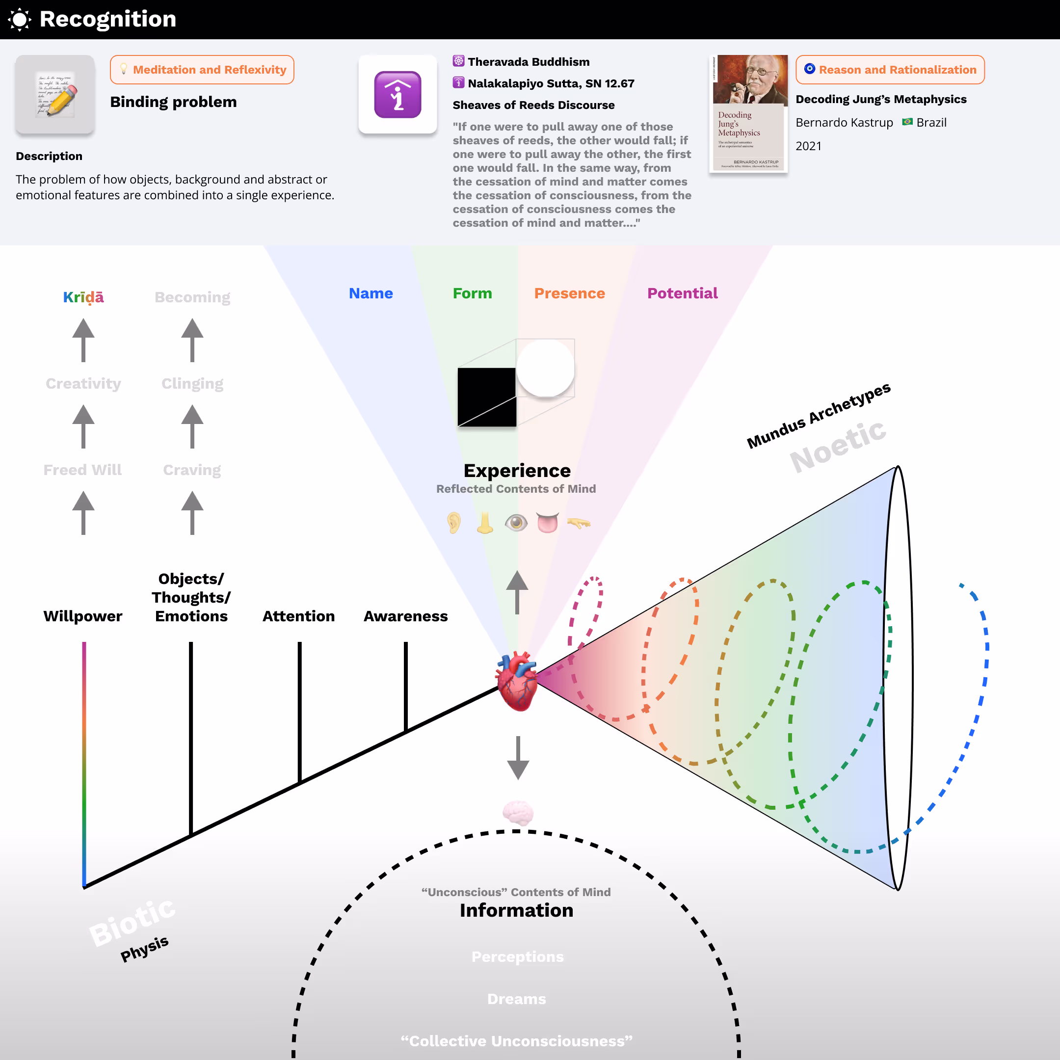 A diagram of the causal influx of reality through the sense organs as it goes on to predict and affect current and future behavioral patterns.