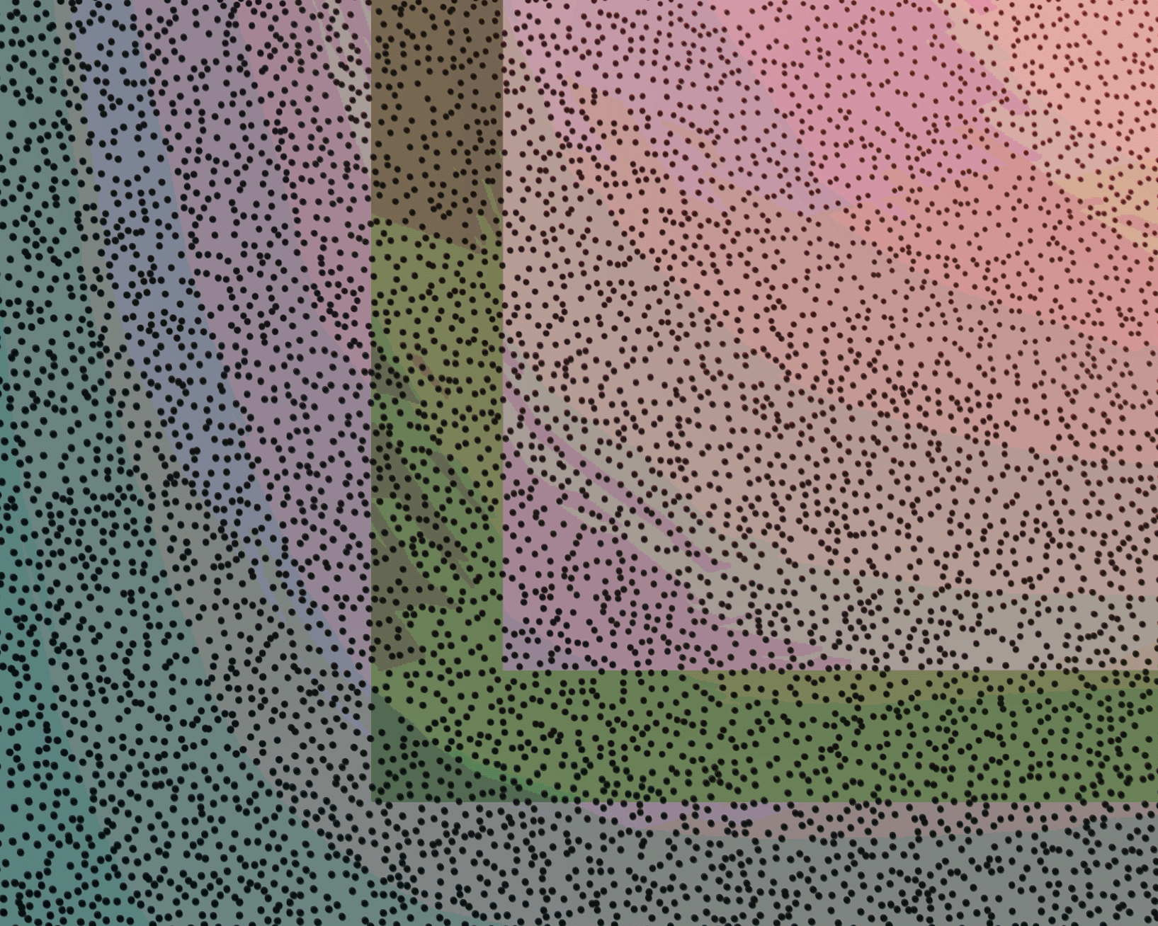 Augusta Unida in Concert nr. 13