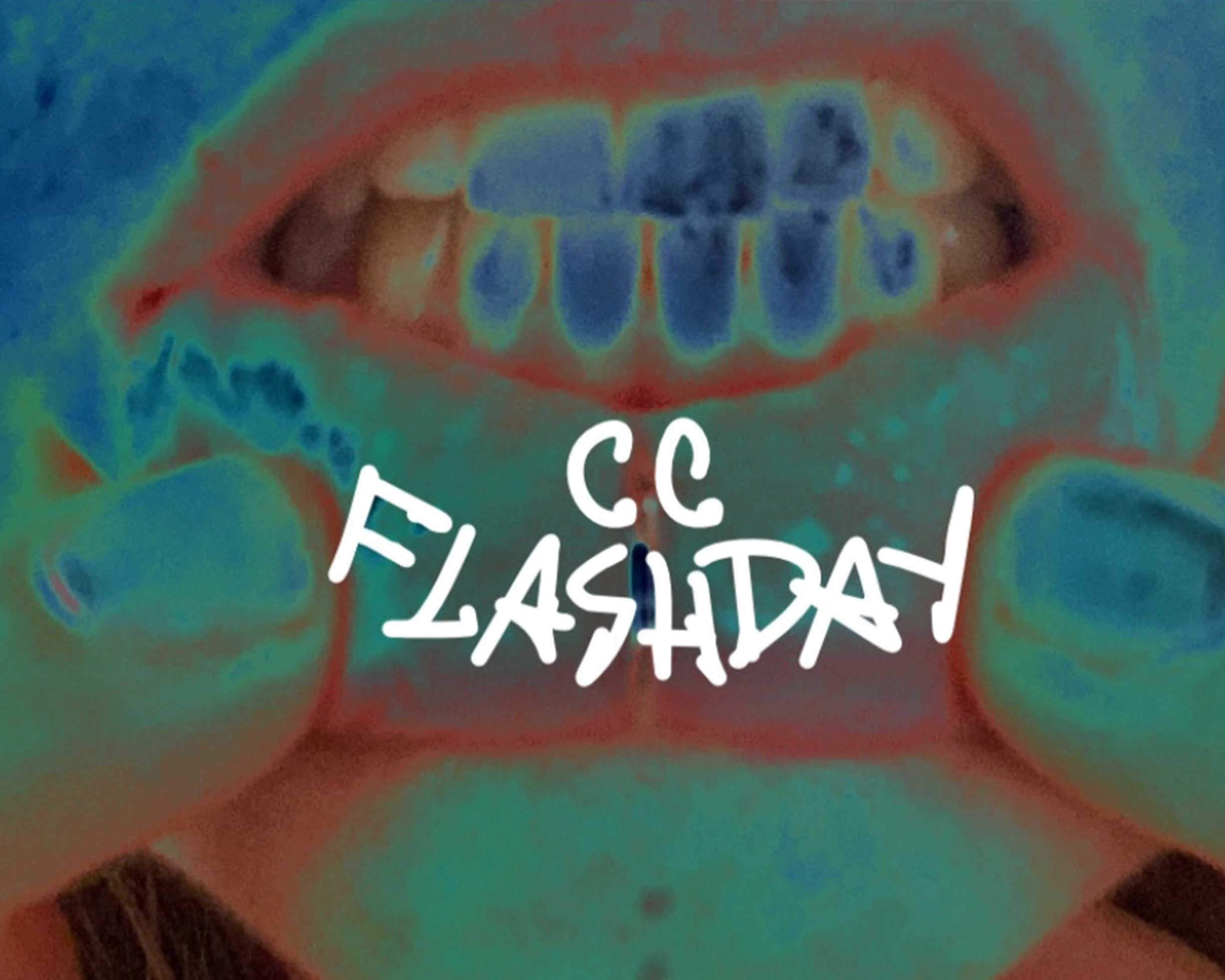 FLASHDAY