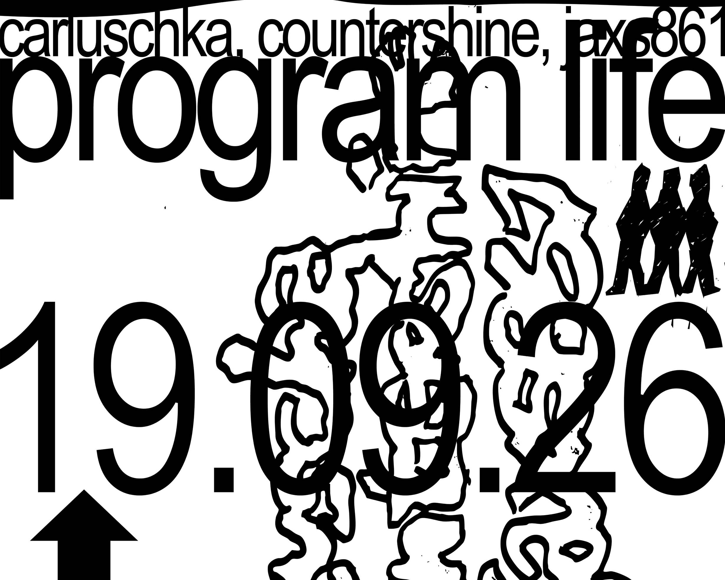 program life