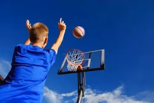 basketball hoop net