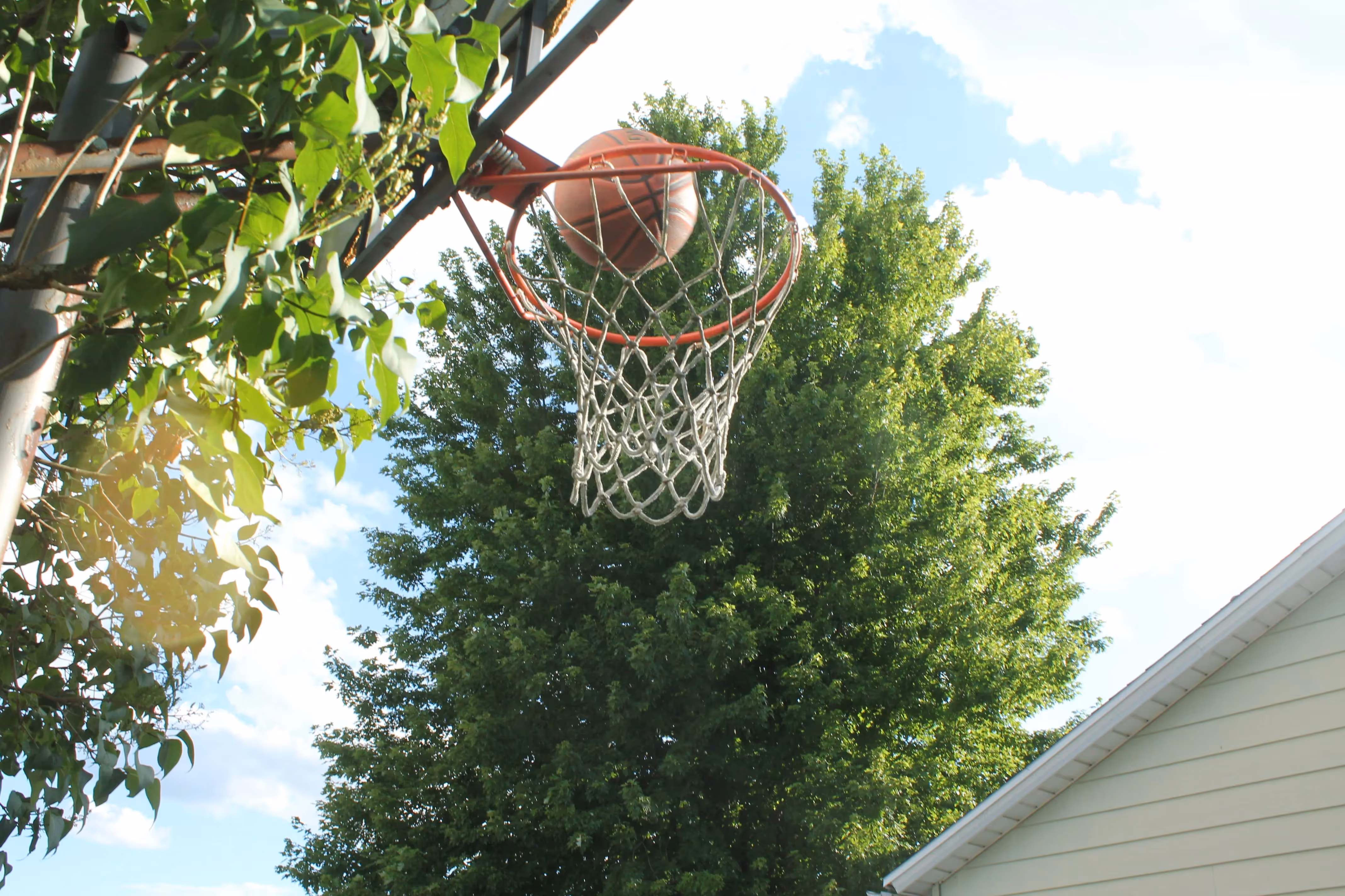 professional basketball hoop