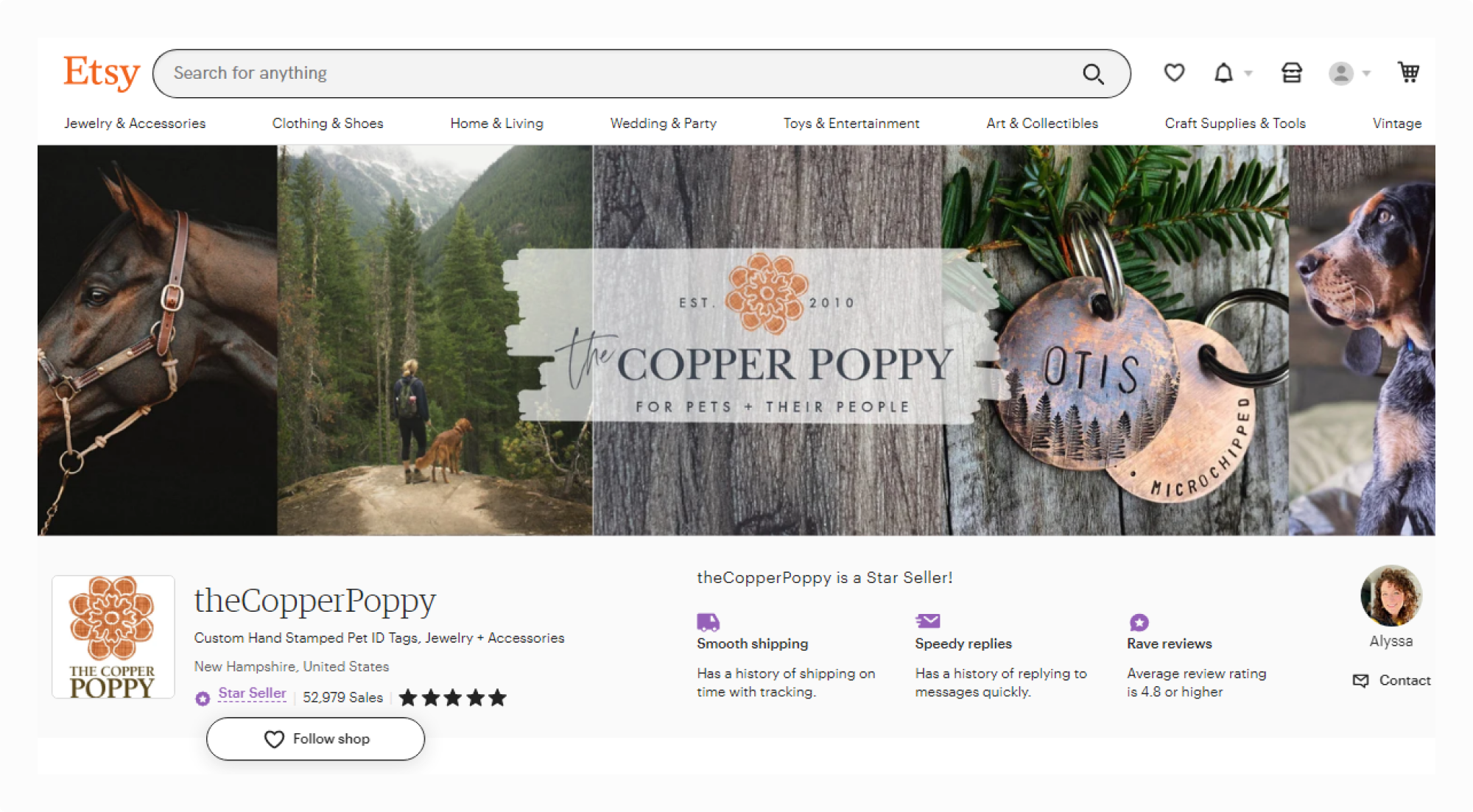  theCopperPoppy