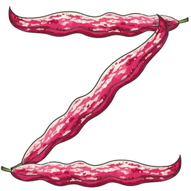 Zoe