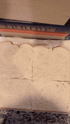 A timelapse of Isabella piping nutella onto bread to paint the mona lisa on it