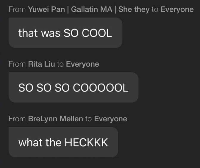 Zoom chat messages that read "that was SO COOL" "SO SO SO COOOOOL" "what the HECK" "^^^" "Super Beautiful."