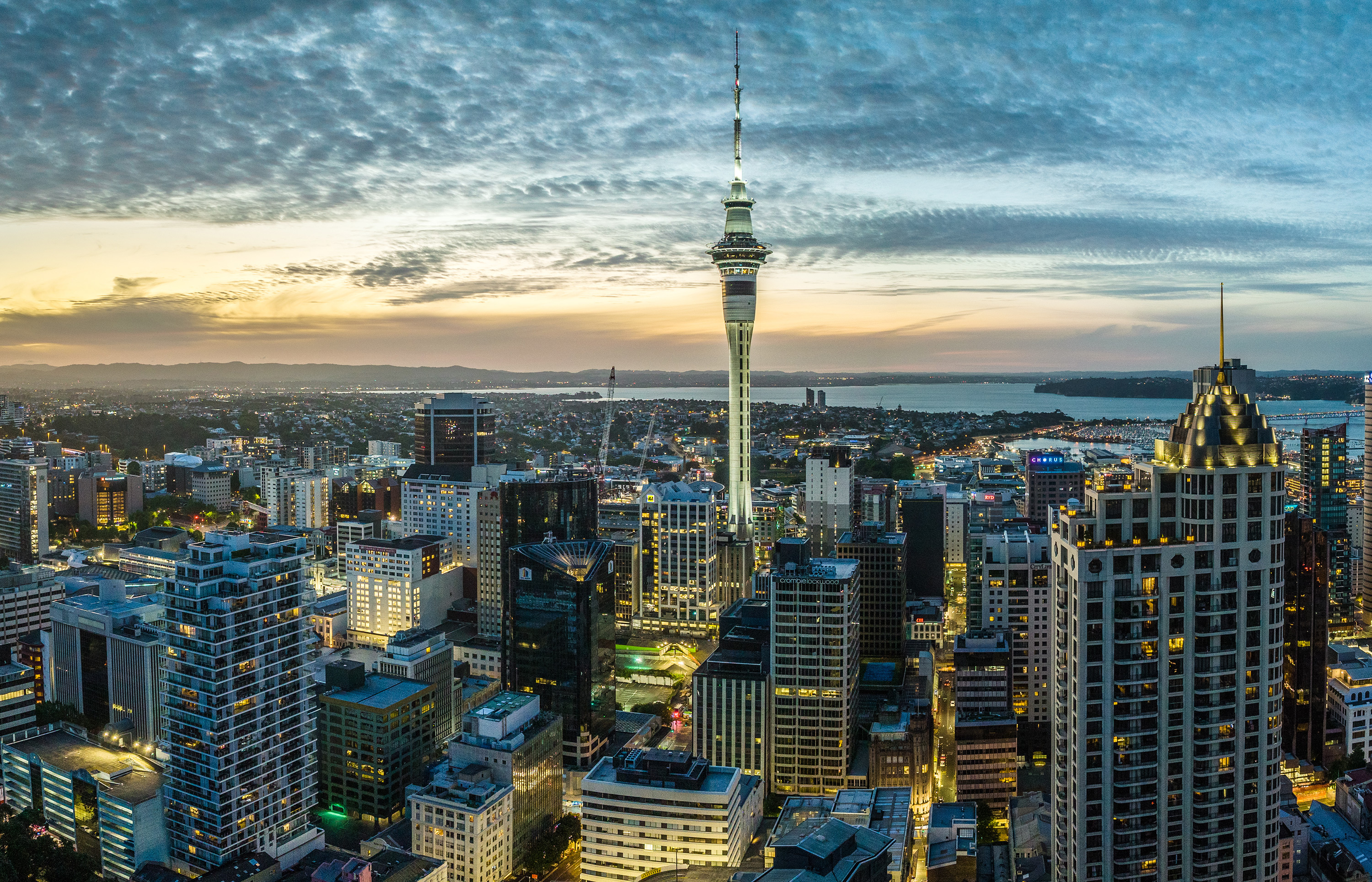 Schweigen Head Office Takes Full Control of Distribution in New Zealand