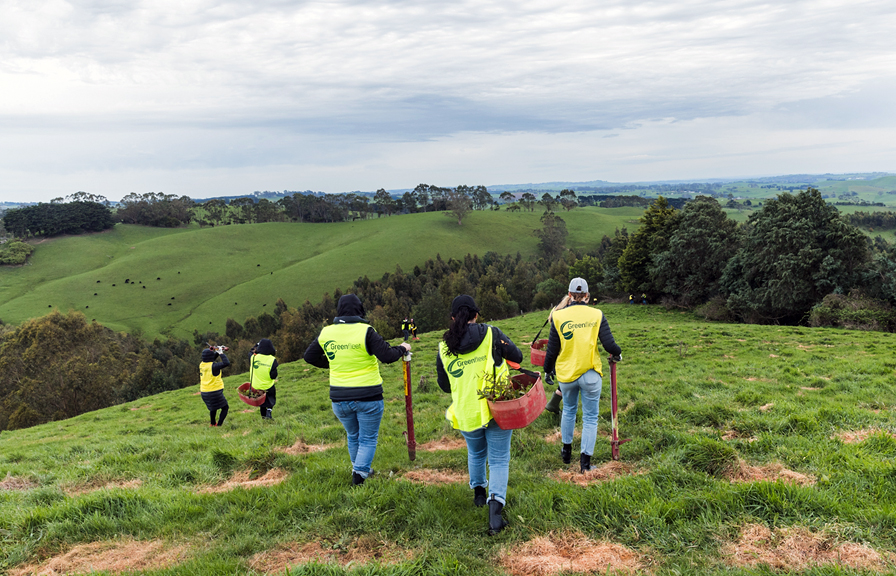 Schweigen Seeds Climate Hope with Greenfleet