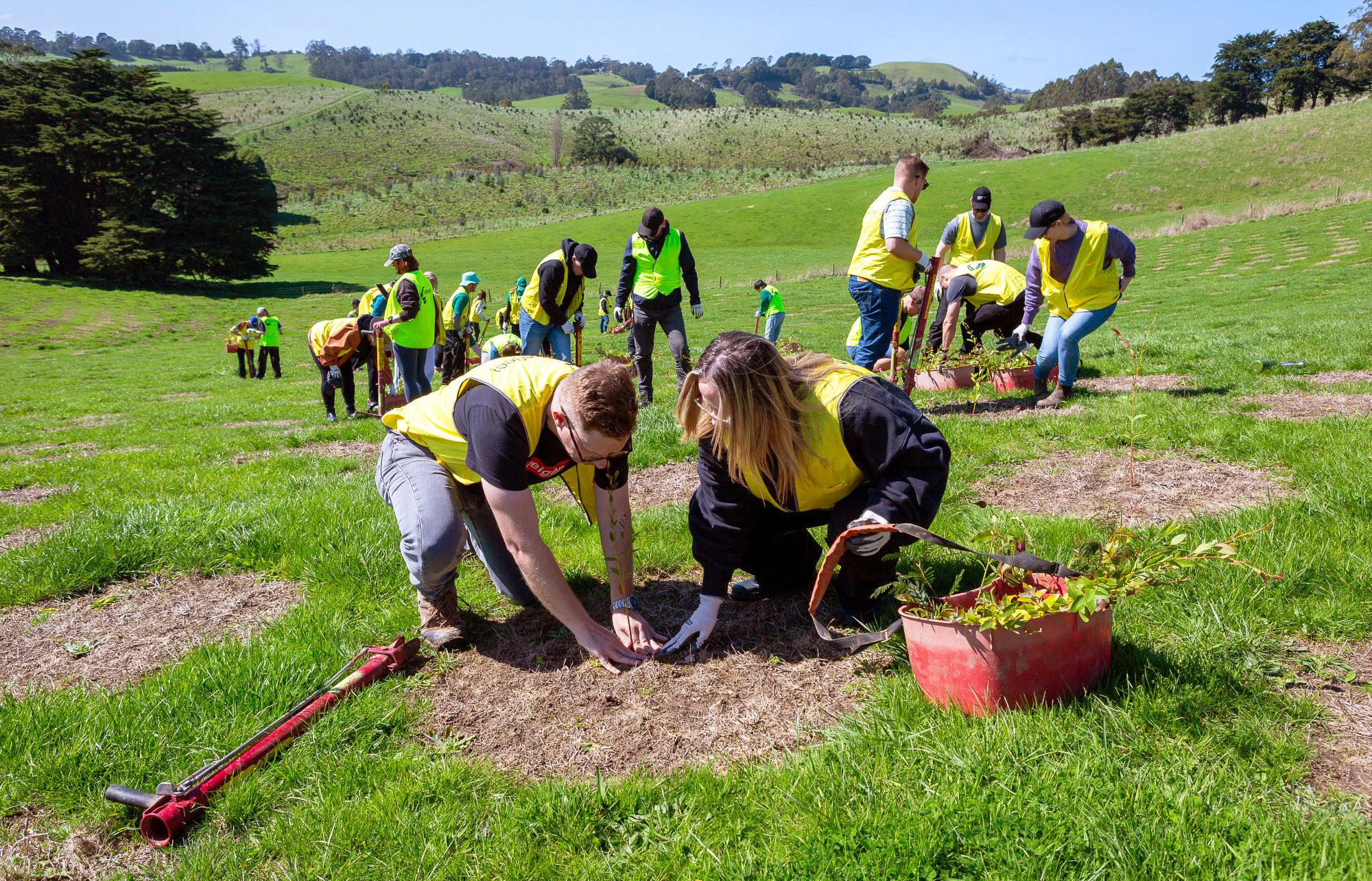 Getting Our Hands Dirty for Climate Action