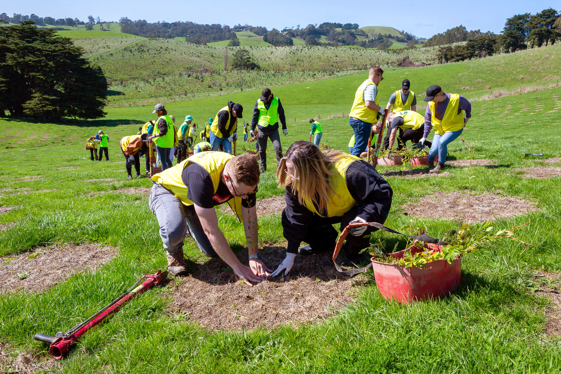 Getting Our Hands Dirty for Climate Action 