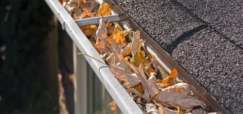 how much does gutter cleaning cost gutter filled with leaves and debris