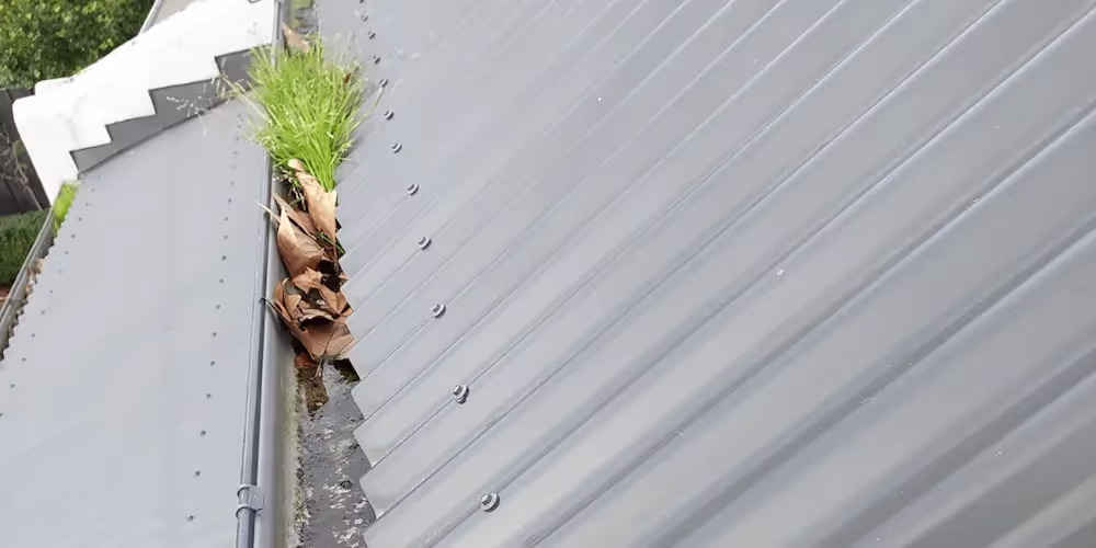 Gutter cleaning - before