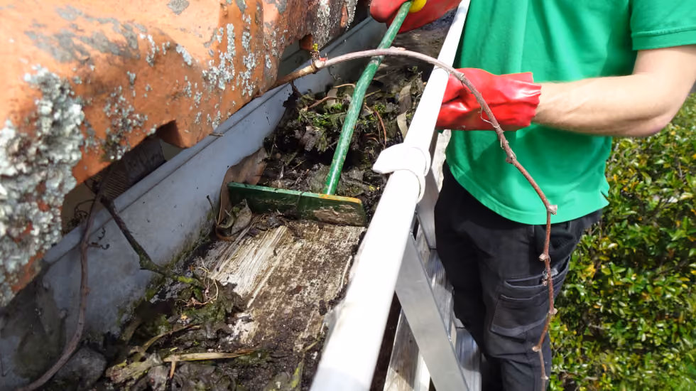 A Bax Clean specialist using a gutter rake to scrape mouldy leaves and debris out of a gutter.