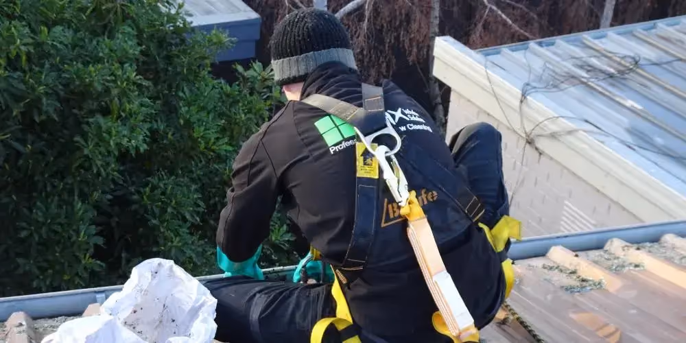 Rooftop maintenance with safety harness