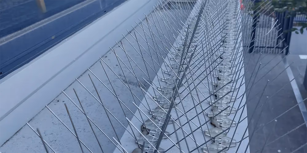 Close-up of stainless steel bird spikes installed along a wide concrete window ledge to deter bird roosting.