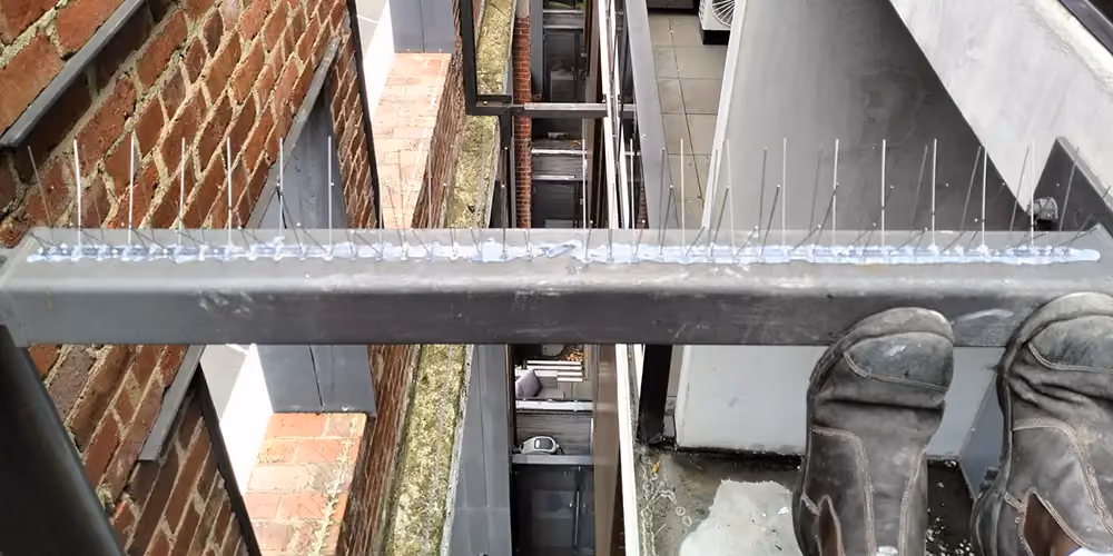 Bird spikes installed on a narrow steel beam, viewed from above with a technician’s boots and brick wall in frame.