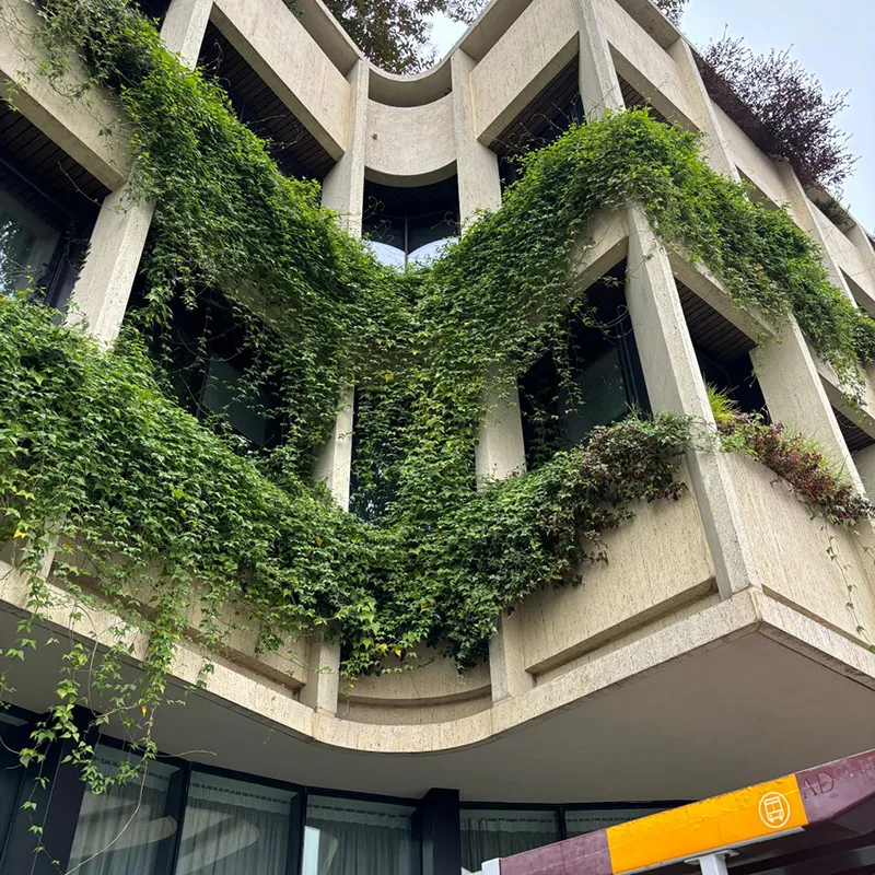 Exterior of a modern building covered in dense green climbing plants, with vegetation growing across upper-storey ledges and cascading down the façade.