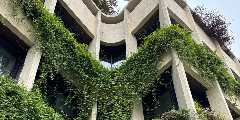 Exterior of a modern building covered in dense green climbing plants, with vegetation growing across upper-storey ledges and cascading down the façade.