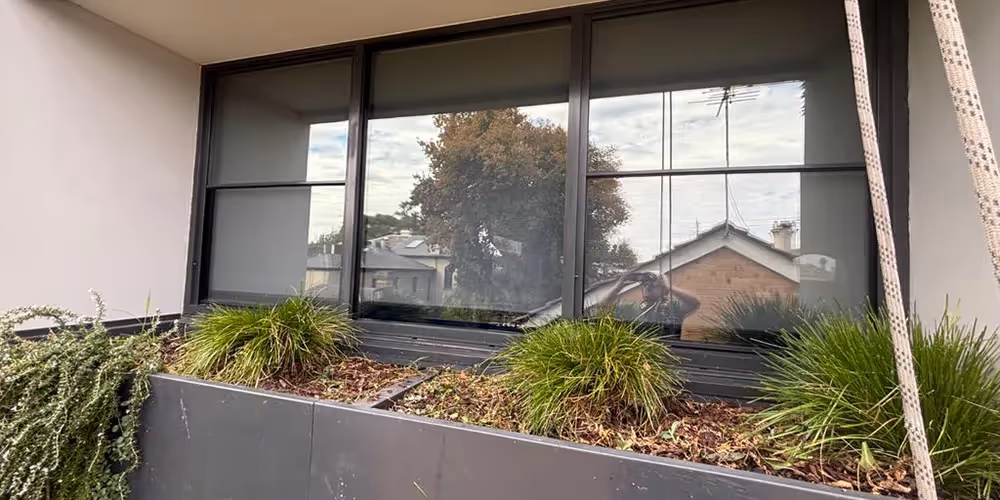Balcony planter box with sparse ornamental grasses in need of maintenance, positioned in front of a residential building window.